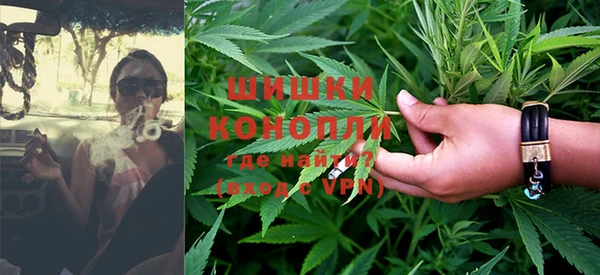 стаф Кулебаки