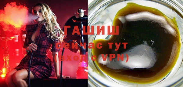 стаф Кулебаки