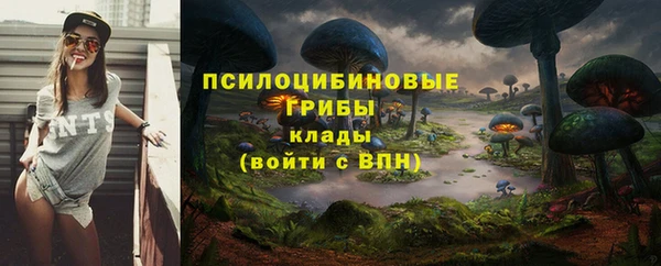 стаф Кулебаки