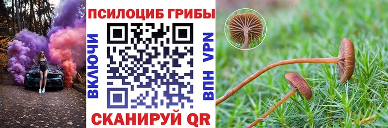 Купить где  Белёв  Псилоцибиновые грибы MAGIC MUSHROOMS 